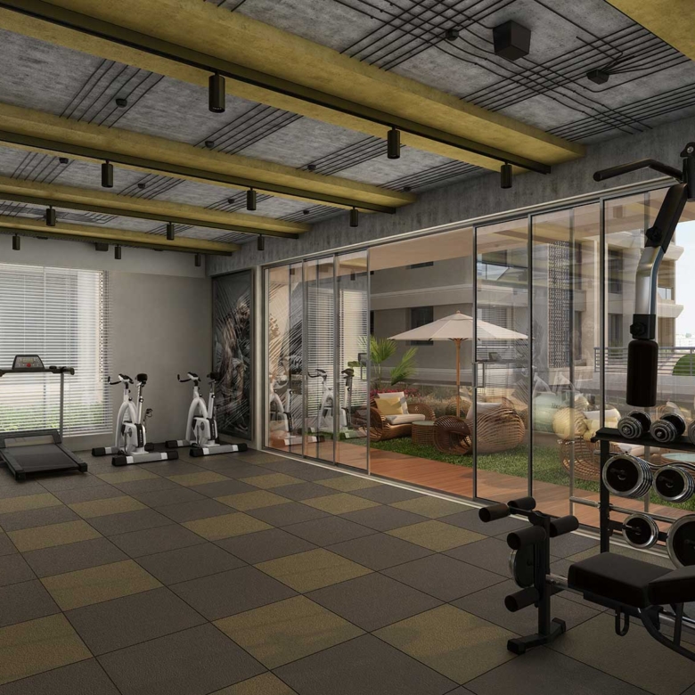 The Status- Gym